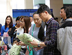 新能源